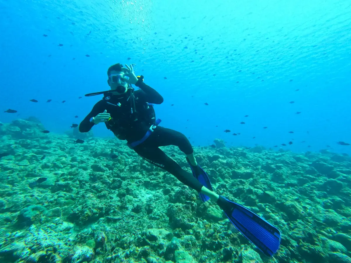 Taucher in Neoprenanzug und mit Atemregler schwebt über korallenreichem Meeresboden in klarem türkisem Wasser