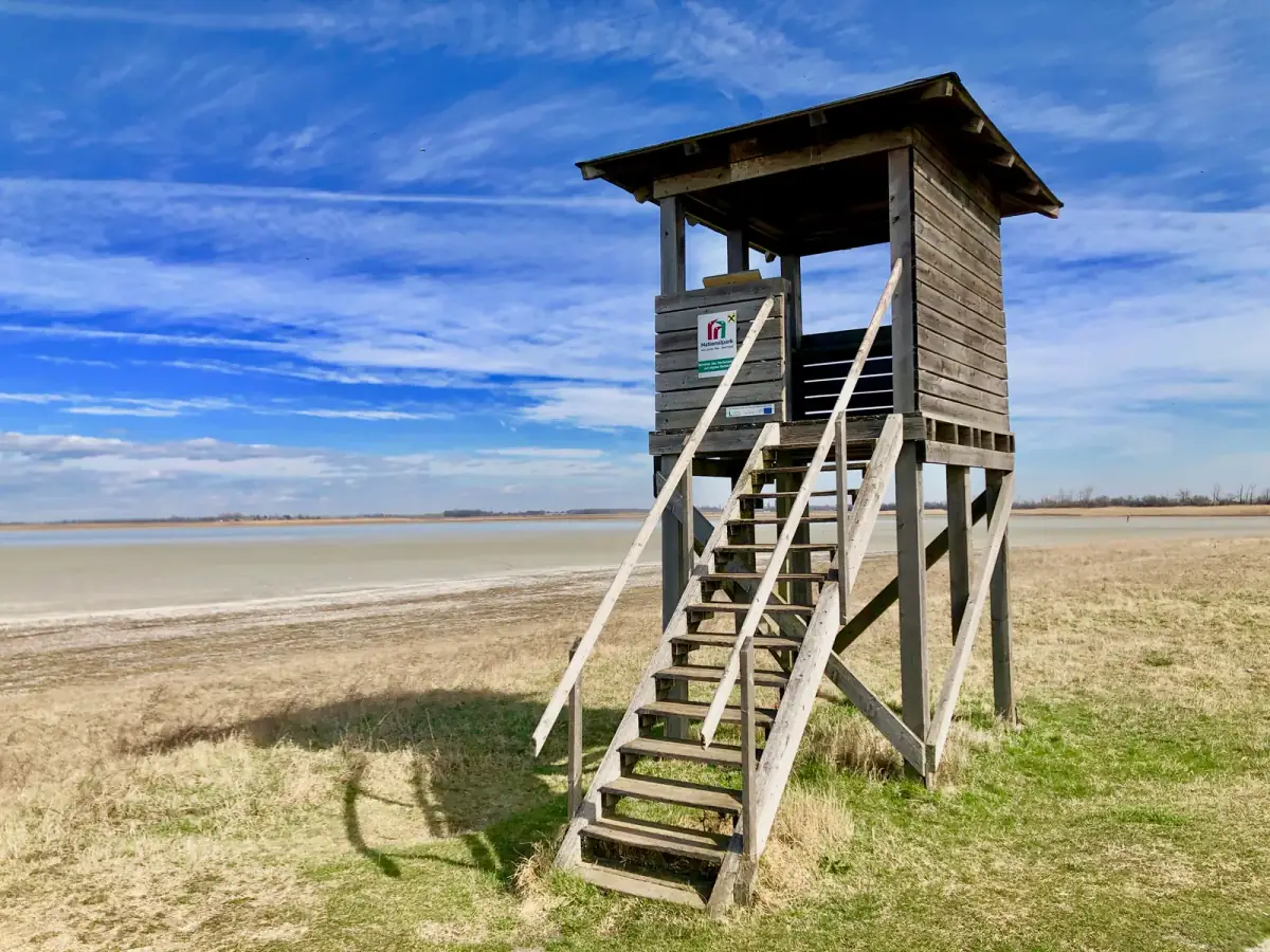 Holzbeobachtungsturm an flacher Uferlandschaft mit Wasser und Grasland unter blauem Himmel
