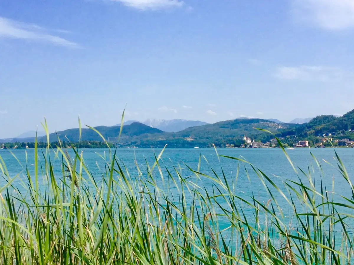 Seeufer mit Schilf im Vordergrund, türkisblauem Wasser und bewaldeten Bergen